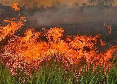 اتوماتیک بیک، قربانی لجاجت بولسونارو