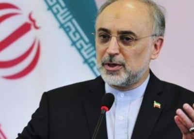رئیس سازمان انرژی اتمی ایران به وین سفر کرد