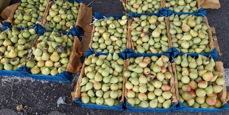 خیز ازبکستان برای صادرات 5 میلیارد دلاری میوه و سبزیجات