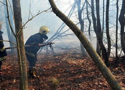 آتش سوزی های مشکوک در نزدیکی نیروگاه اتمی چرنوبیل اوکراین