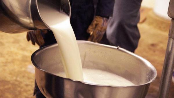 آزمایش بیش از 70 نمونه شیر در شهربابک