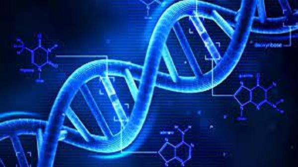 سریعترین فناوری برای تجزیه DNA و تشخیص بیماری