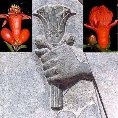 نیلوفر آبی در ایران باستان ، لوتوس، نماد صلح ، آرامش و شادی